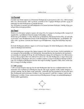 Bestemmelse av blodtype