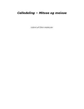 Celledeling – Mitose og meiose