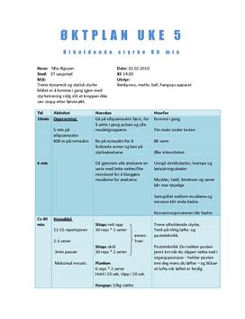 Øktplan utholdende styrke