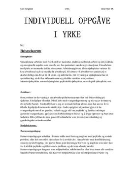 INDIVIDUELL OPPGÅVE I YRKE