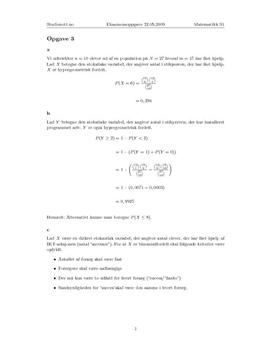 Oppgave 3 Matematikk S1 22.05.2009 REA3026