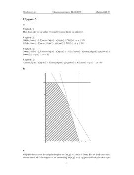 Oppgave 5 Matematikk S1 22.05.2009 REA3026