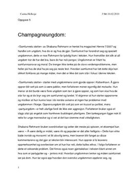 samfunnets støtter, champagneungdom