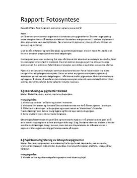 Rapport: Fotosyntese
