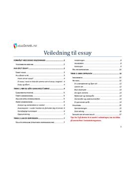 Essay oppskrift