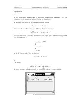 Oppgave 5 REA3024 Matematikk R2 03.12.2009