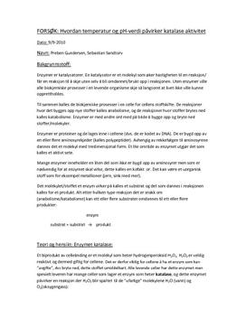 Biologirapport- Forsøk om enzymer