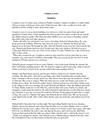 Summary "Country Lovers"