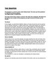Book Report - The Snapper