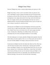 Bridget Jones diary summary