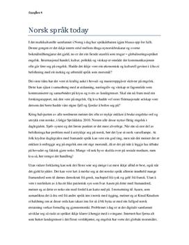 essay tips norsk