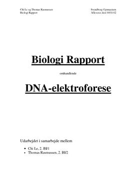 DNA-elektroforese