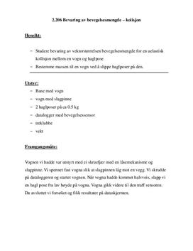 Labrapport: Bevaring av bevegelsesmengde - Fysikk