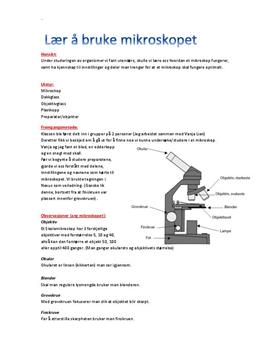 Bruk av mikroskop | Rapport