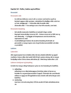 Sammendrag | Roller, ledelse og konflikter