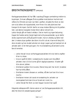 Erstatningsrett | Rørleggerspesialisten