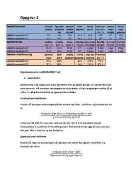 Økobakeriet AS | Regnskapsanalyse
