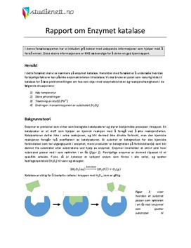 Enzymet katalase | Rapport i Kjemi 2
