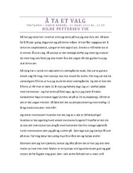 Essay on valg 04 picture