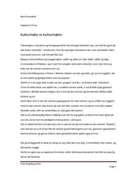 Essay om nordmenn 03 image