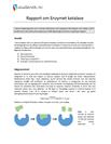 Enzymet katalase | Rapport i Kjemi 2