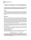 Elektrolyse av natriumjodidløsning | Rapport i Kjemi 2